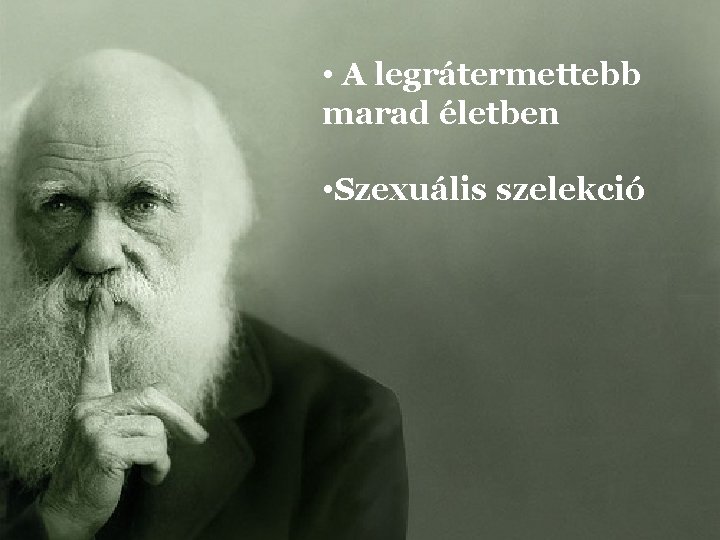  • A legrátermettebb marad életben • Szexuális szelekció 