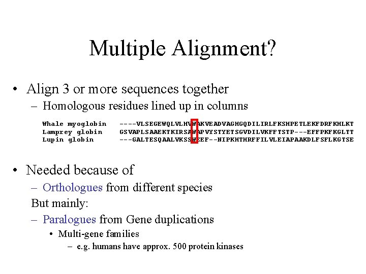 Multiple Alignment? • Align 3 or more sequences together – Homologous residues lined up