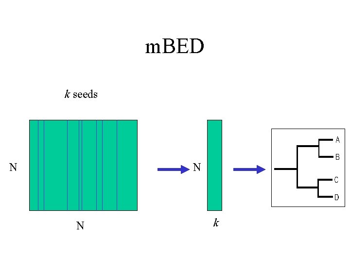 m. BED k seeds N N N k 