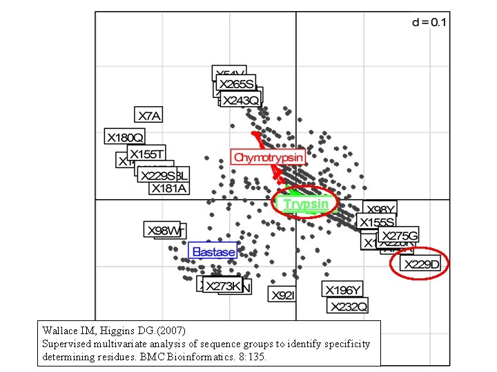 Trypsin Wallace IM, Higgins DG. (2007) Supervised multivariate analysis of sequence groups to identify