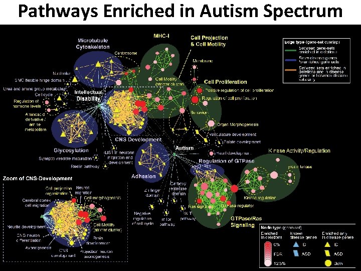 Pathways Enriched in Autism Spectrum Module 1: Introduction to Gene Lists bioinformatics. ca 