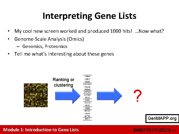 Interpreting Gene Lists • My cool new screen worked and produced 1000 hits! …Now