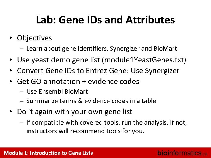 Lab: Gene IDs and Attributes • Objectives – Learn about gene identifiers, Synergizer and