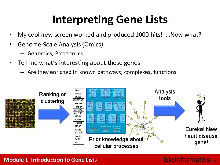 Interpreting Gene Lists • My cool new screen worked and produced 1000 hits! …Now