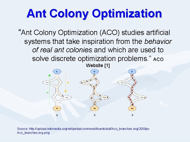 Ant Colony Optimization “Ant Colony Optimization (ACO) studies artificial systems that take inspiration from