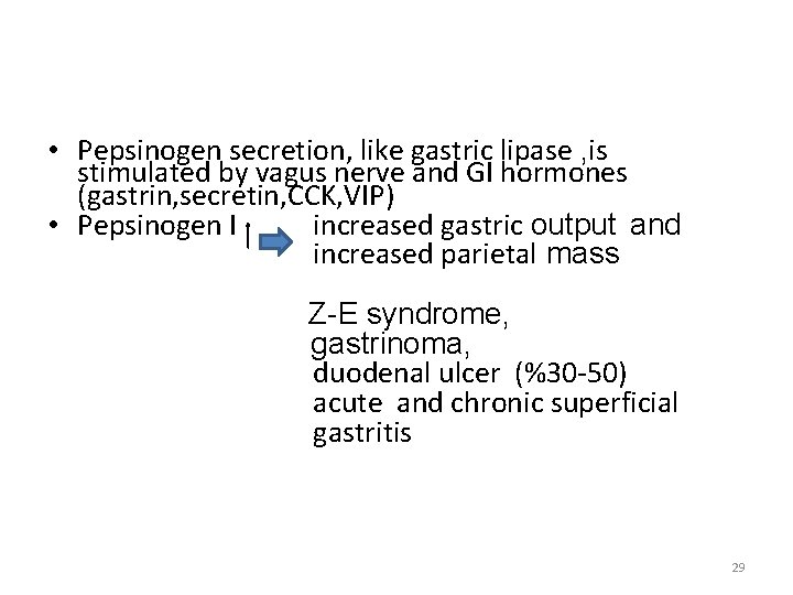  • Pepsinogen secretion, like gastric lipase , is stimulated by vagus nerve and