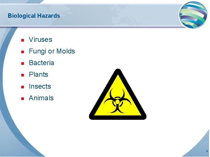 Biological Hazards n Viruses n Fungi or Molds n Bacteria n Plants n Insects