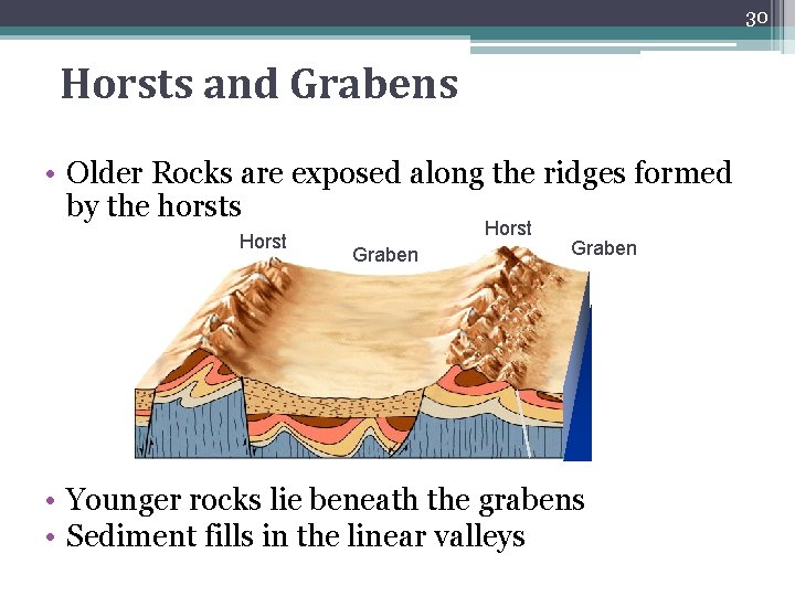 30 Horsts and Grabens • Older Rocks are exposed along the ridges formed by