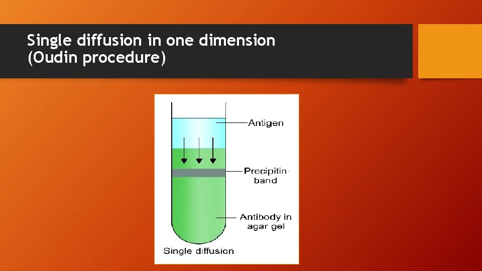 Single diffusion in one dimension (Oudin procedure) 