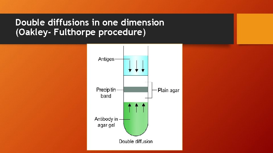 Double diffusions in one dimension (Oakley- Fulthorpe procedure) 