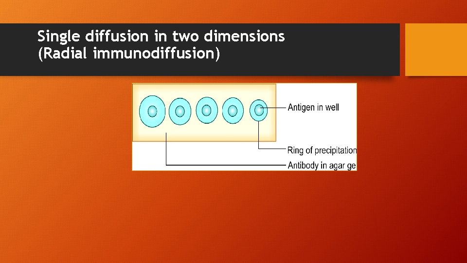 Single diffusion in two dimensions (Radial immunodiffusion) 