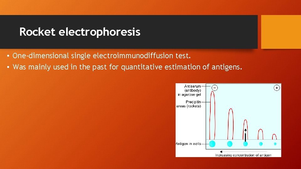 Rocket electrophoresis • One-dimensional single electroimmunodiffusion test. • Was mainly used in the past