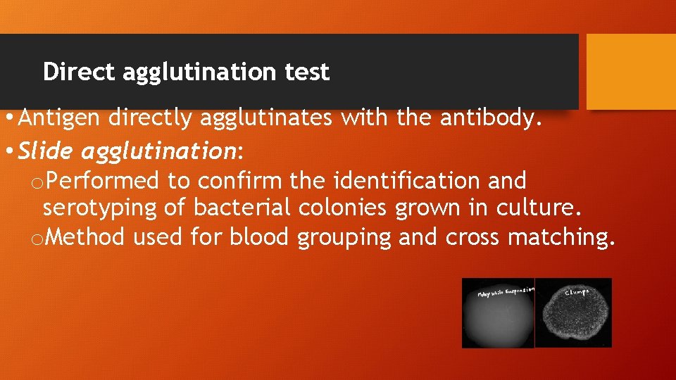 Direct agglutination test • Antigen directly agglutinates with the antibody. • Slide agglutination: o.