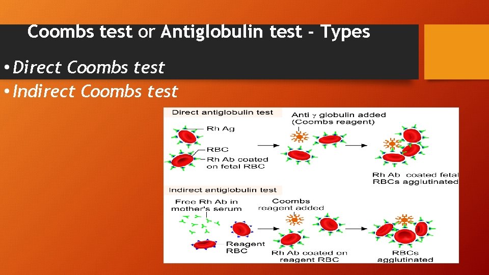Coombs test or Antiglobulin test - Types • Direct Coombs test • Indirect Coombs
