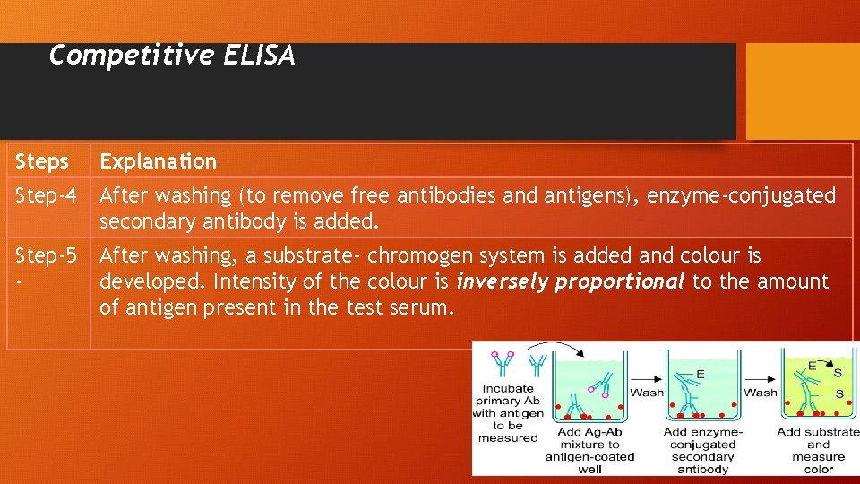 Competitive ELISA Steps Explanation Step-4 After washing (to remove free antibodies and antigens), enzyme-conjugated