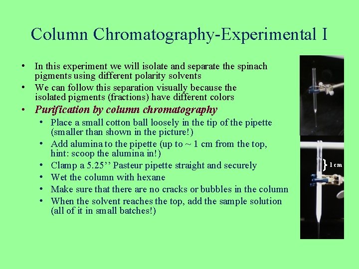 Column Chromatography-Experimental I • In this experiment we will isolate and separate the spinach