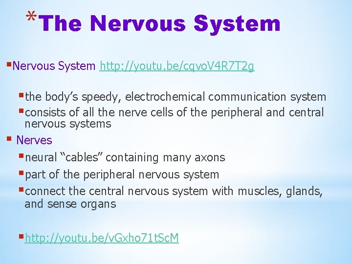 *The Nervous System §Nervous System http: //youtu. be/cqvo. V 4 R 7 T 2