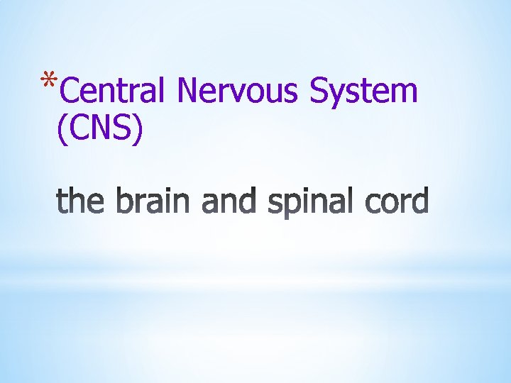 *Central Nervous System (CNS) 