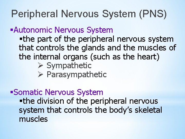 Peripheral Nervous System (PNS) §Autonomic Nervous System §the part of the peripheral nervous system