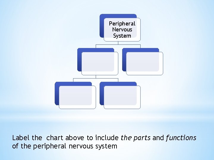 Peripheral Nervous System Label the chart above to include the parts and functions of