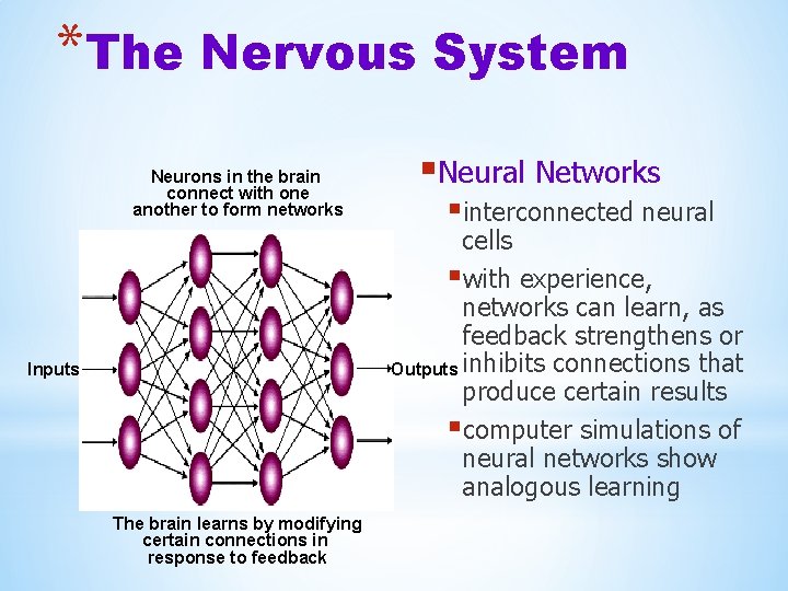 *The Nervous System Neurons in the brain connect with one another to form networks