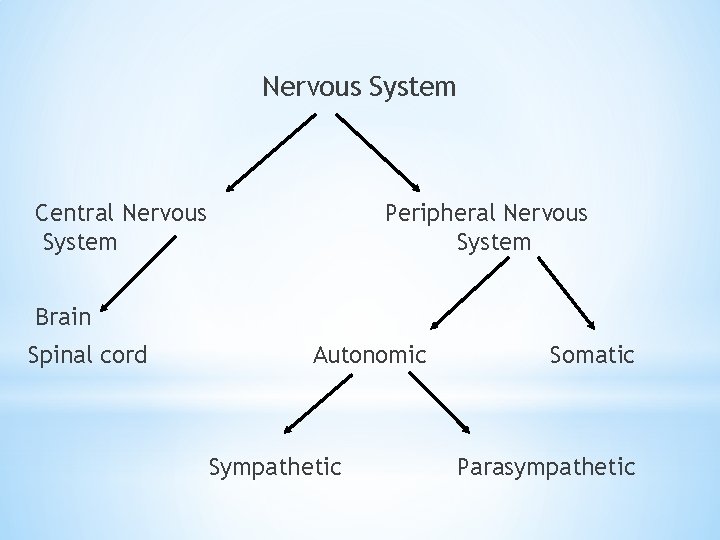 Nervous System Central Nervous System Peripheral Nervous System Brain Spinal cord Autonomic Sympathetic Somatic