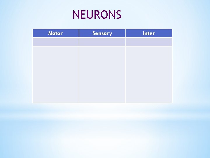NEURONS Motor Sensory Inter 