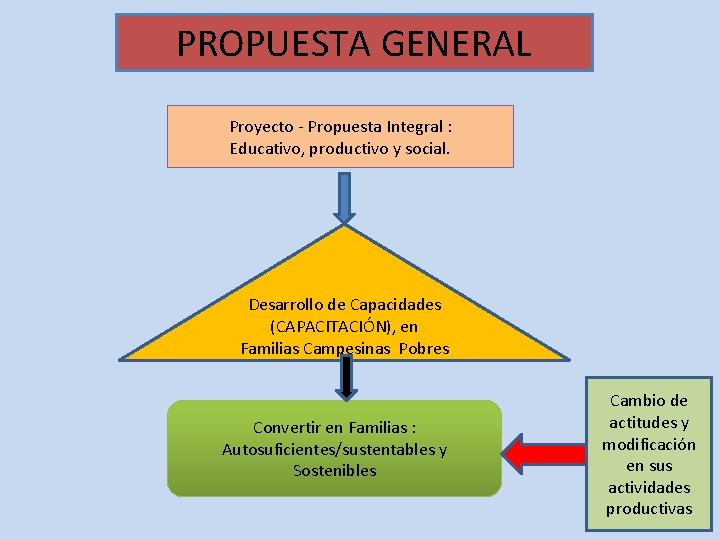 PROPUESTA GENERAL Proyecto - Propuesta Integral : Educativo, productivo y social. Desarrollo de Capacidades