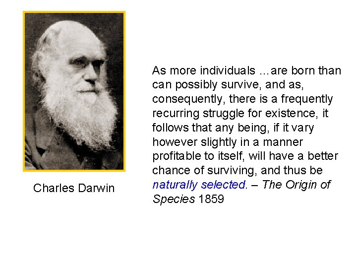 Charles Darwin As more individuals …are born than can possibly survive, and as, consequently,