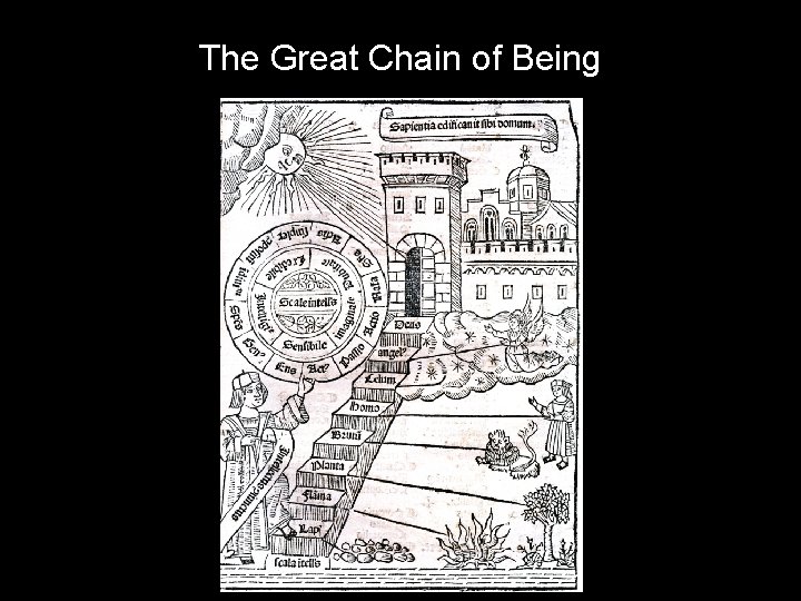 The Great Chain of Being 