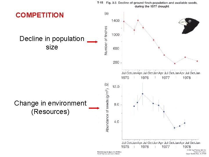 COMPETITION Decline in population size Change in environment (Resources) 