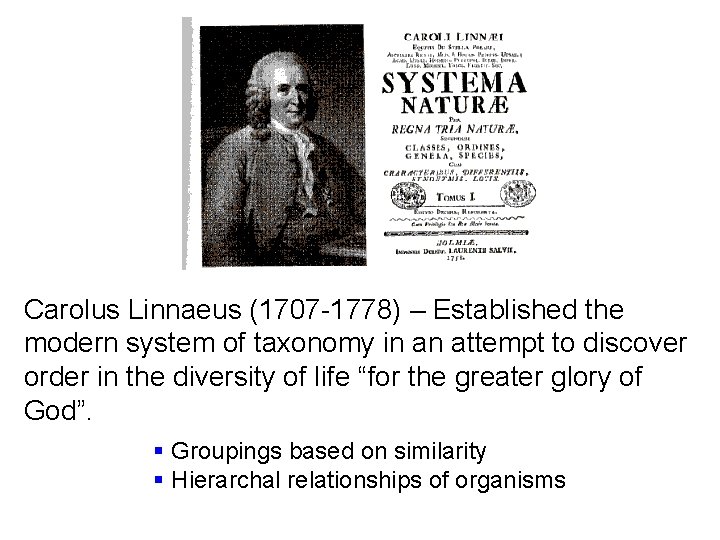 Carolus Linnaeus (1707 -1778) – Established the modern system of taxonomy in an attempt