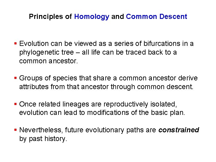 Principles of Homology and Common Descent § Evolution can be viewed as a series