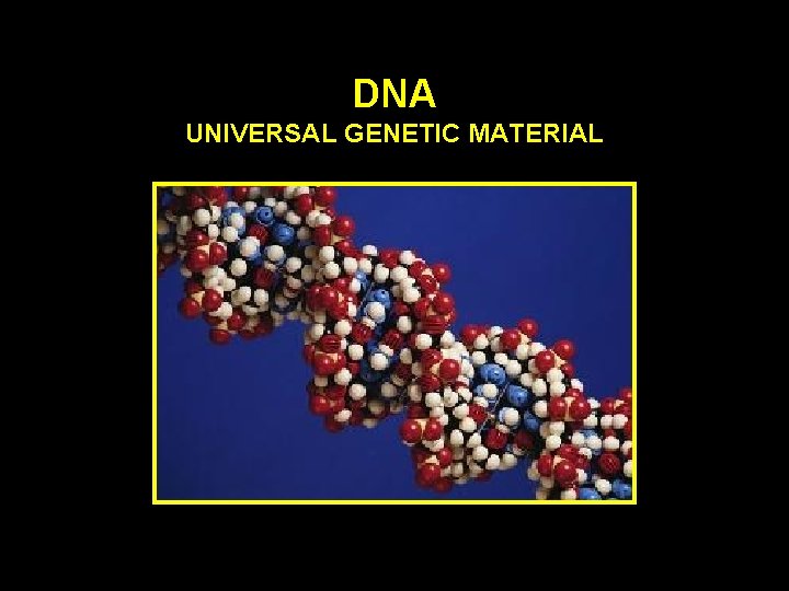 DNA UNIVERSAL GENETIC MATERIAL 