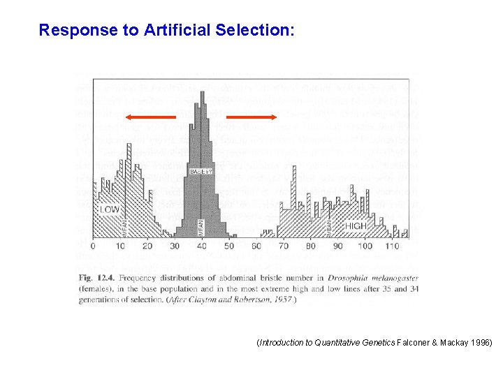 Response to Artificial Selection: (Introduction to Quantitative Genetics Falconer & Mackay 1996) 