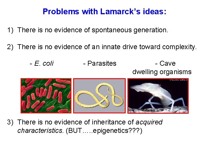 Problems with Lamarck’s ideas: 1) There is no evidence of spontaneous generation. 2) There