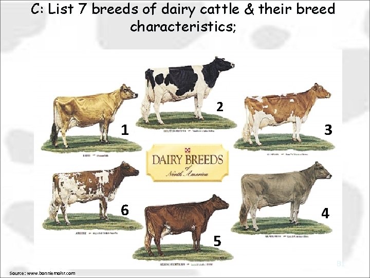 C: List 7 breeds of dairy cattle & their breed characteristics; 2 1 3