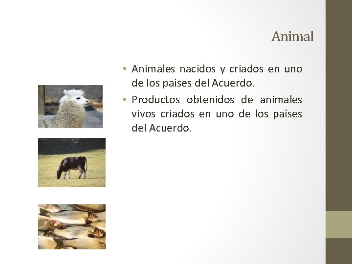 Animal • Animales nacidos y criados en uno de los países del Acuerdo. •