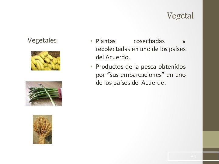 Vegetales • Plantas cosechadas y recolectadas en uno de los países del Acuerdo. •