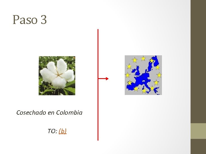 Paso 3 Cosechado en Colombia TO: (b) 