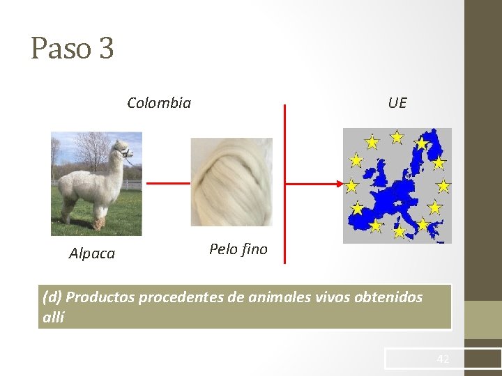 Paso 3 Colombia Alpaca UE Pelo fino (d) Productos procedentes de animales vivos obtenidos