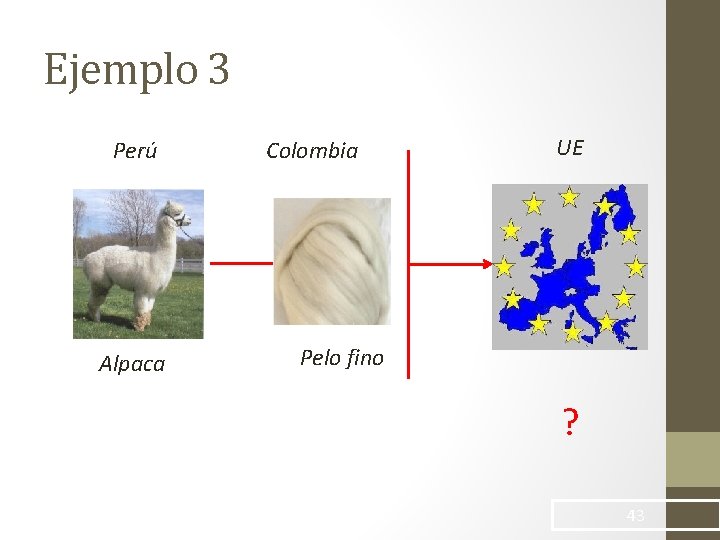 Ejemplo 3 Perú Alpaca Colombia UE Pelo fino ? 43 