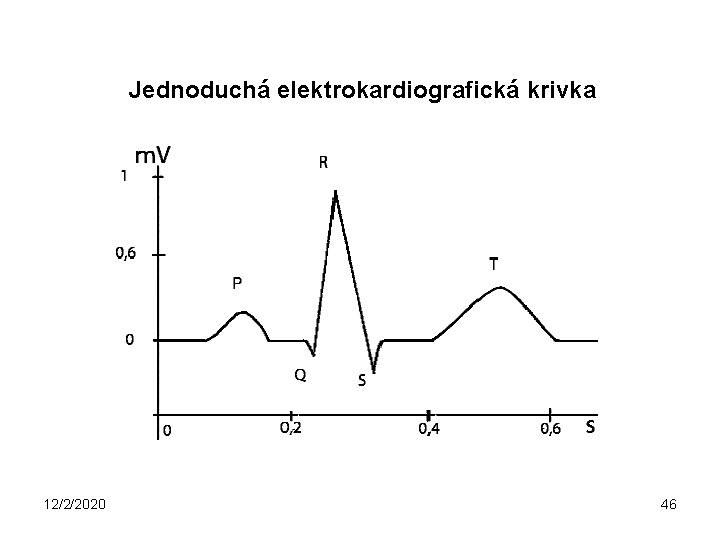 Jednoduchá elektrokardiografická krivka 12/2/2020 46 