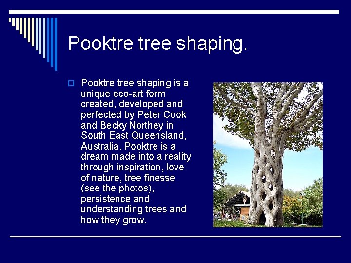 Pooktre tree shaping. o Pooktre tree shaping is a unique eco-art form created, developed