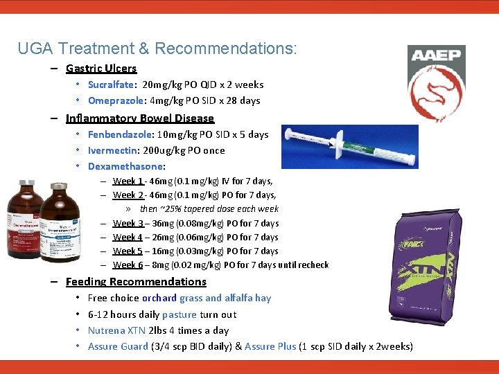  UGA Treatment & Recommendations: – Gastric Ulcers • Sucralfate: 20 mg/kg PO QID