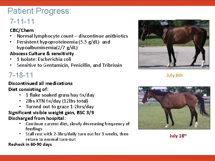  Patient Progress: 7 -11 -11 CBC/Chem • Normal lymphocyte count – discontinue anitbiotics