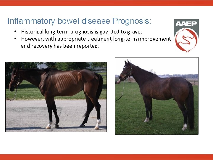  Inflammatory bowel disease Prognosis: • Historical long-term prognosis is guarded to grave. •