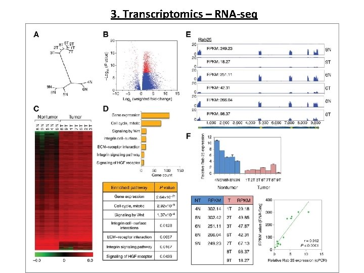 3. Transcriptomics – RNA-seq 