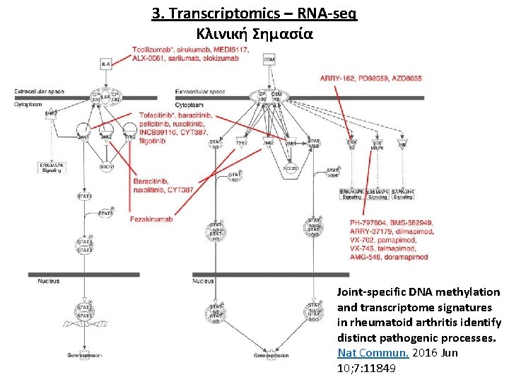 3. Transcriptomics – RNA-seq Κλινική Σημασία Joint-specific DNA methylation and transcriptome signatures in rheumatoid