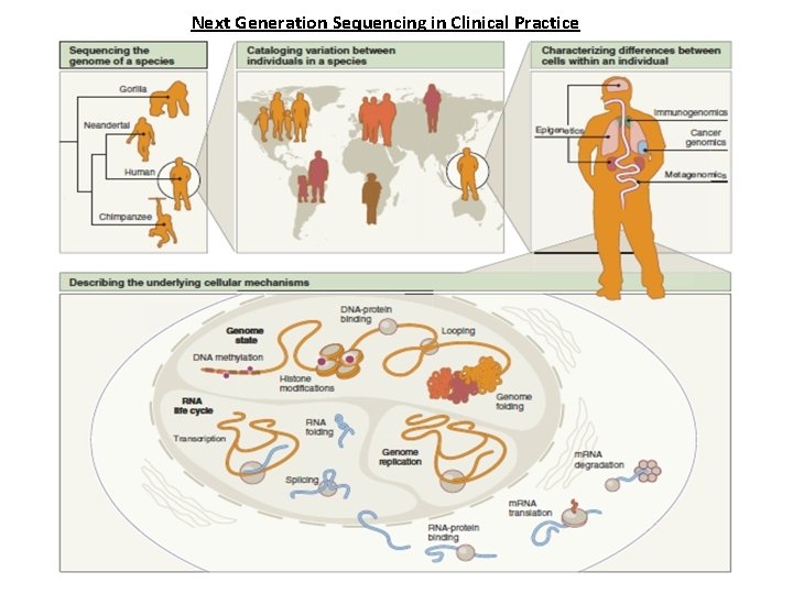 Next Generation Sequencing in Clinical Practice 